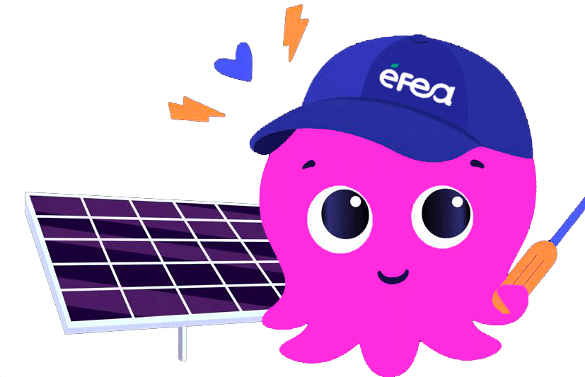 octopus efea 2eme v